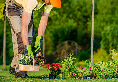 Landscaping & Gardening Services in Kanpur