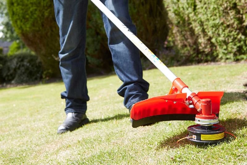 Landscaping & Gardening Services in Kanpur