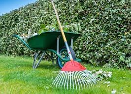 Landscaping & Gardening Services in Kanpur